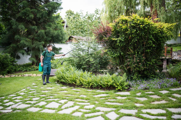 Trusted Arbuckle, CA Pest Control Experts