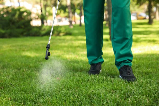 Best Best Pest Control Companies  in Arbuckle, CA