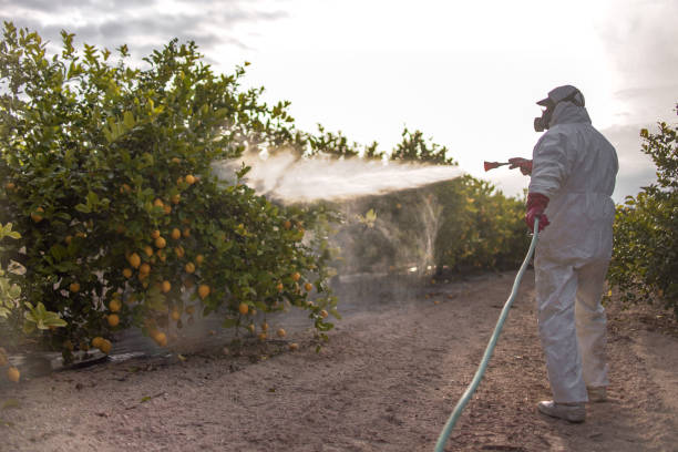 Best Pest Control Near Me  in Arbuckle, CA
