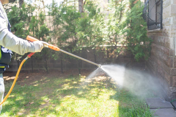 Pest Control Cost in Arbuckle, CA