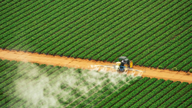 Best Best Pest Control Companies  in Arbuckle, CA