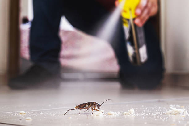 Best Commercial Pest Control Services  in Arbuckle, CA