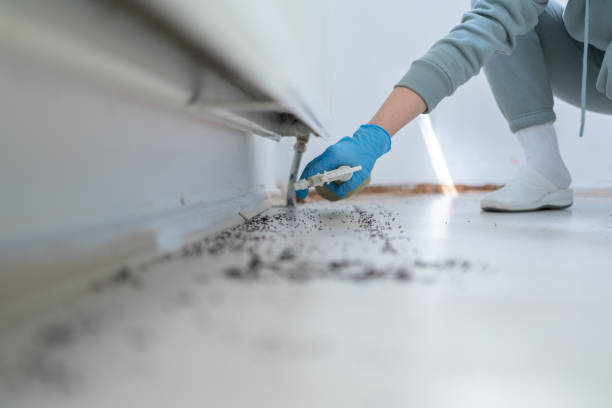 Best Pest Prevention Services  in Arbuckle, CA